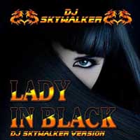 Cover DJ Skywalker - Lady in black