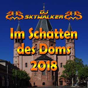 Cover DJ Skywalker - Im Schatten des Doms 2018